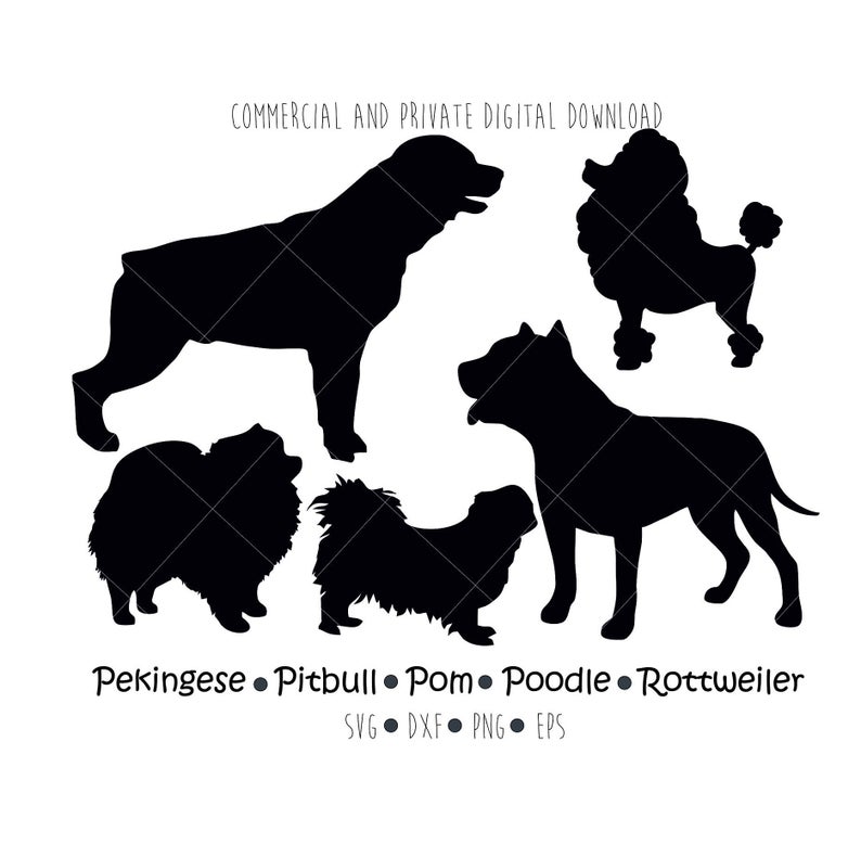 794x790 Pekingese Pitbull Pom Poodle Rottweiler Dog Clipart Vector Etsy