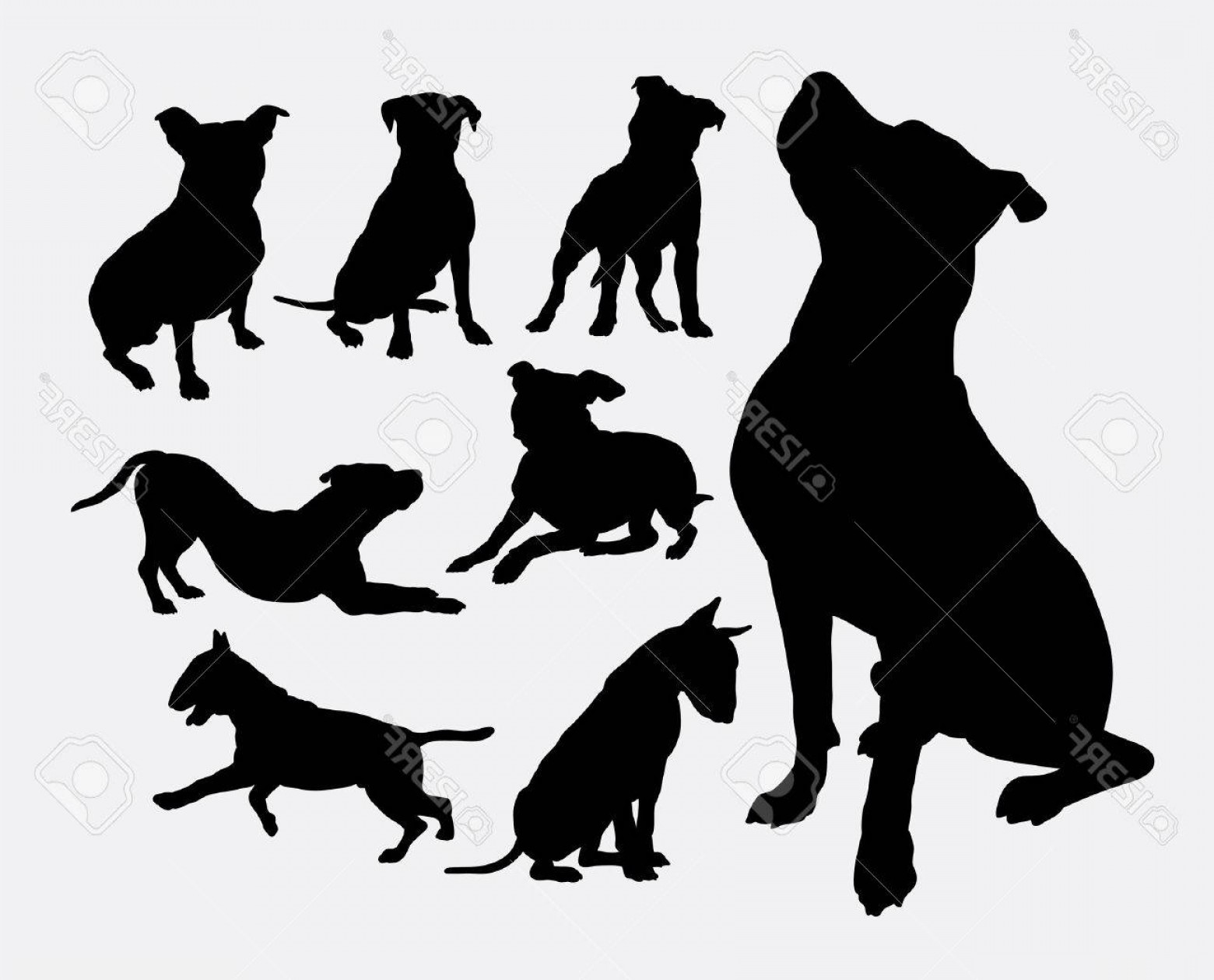 1560x1260 Photostock Vector Pitbull Bulldog Terrier Dog Animal Silhouettes