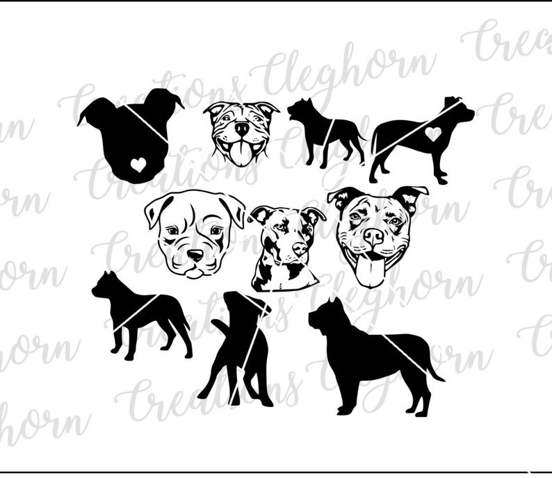 794x688 Pitbull Bundle Pitbull Vector Circut Etsy
