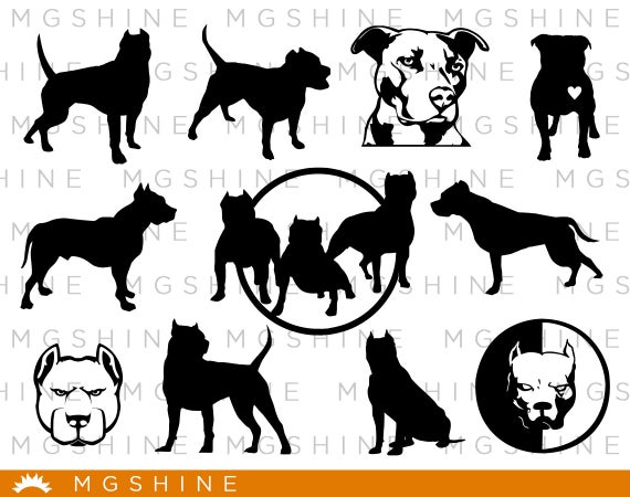 570x450 Pitbull For Cricut Silhouette Pitbull Silhouette Etsy