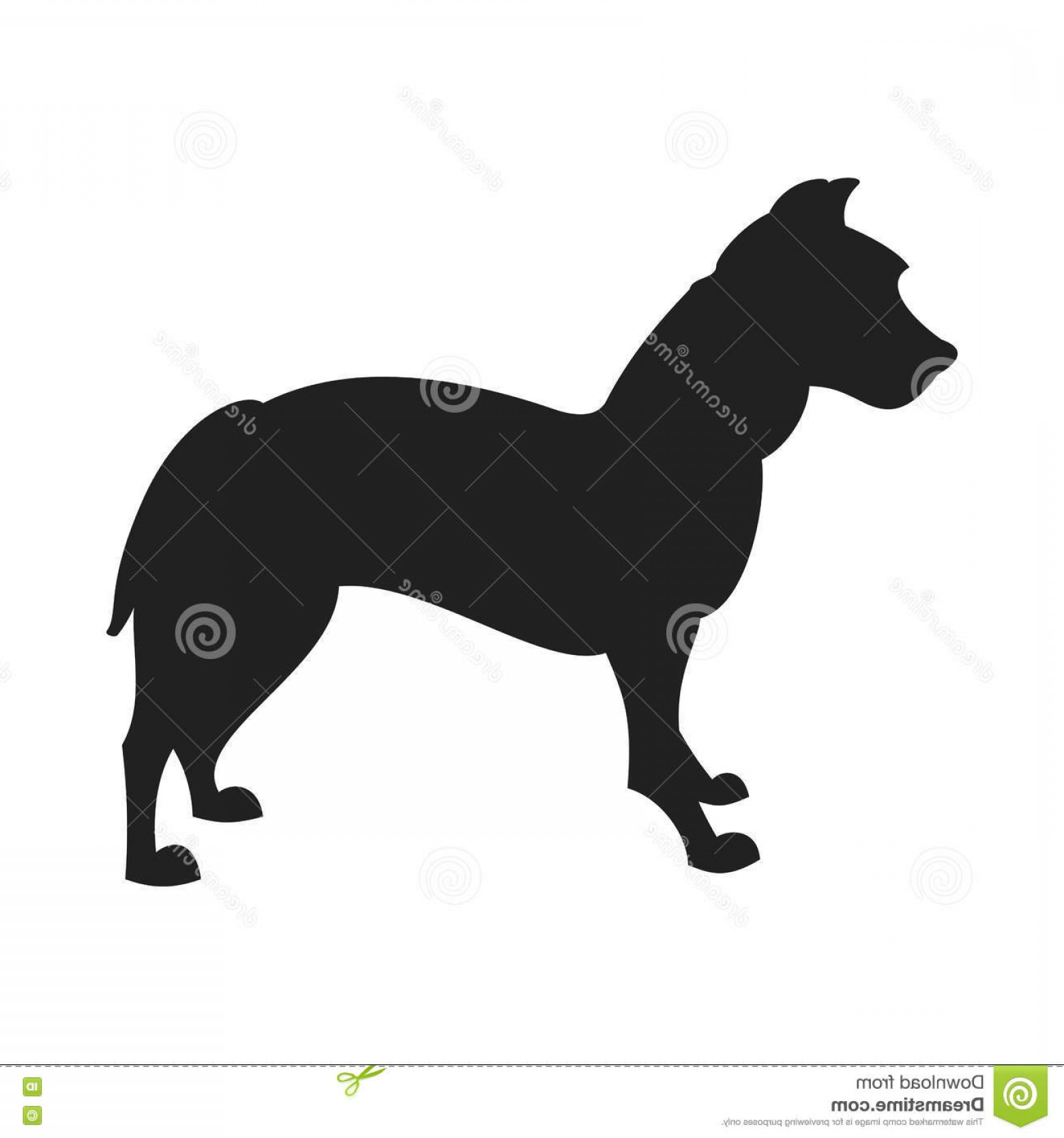 1560x1668 Stock Illustration Pitbull Black Silhouette Vintage Vector Image