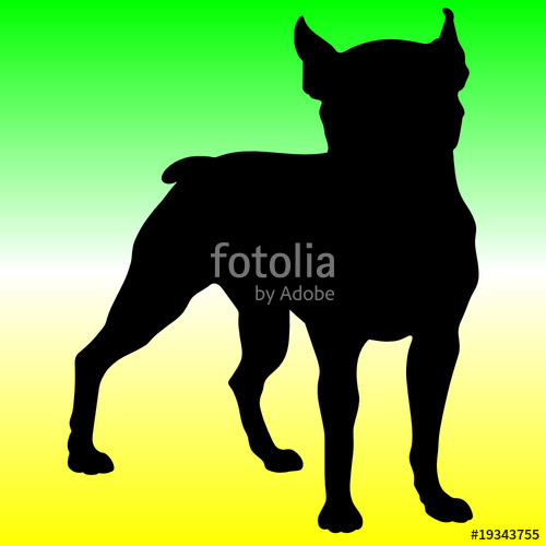 500x500 Pitbull Silhouettes Stock Image And Royalty Free Vector