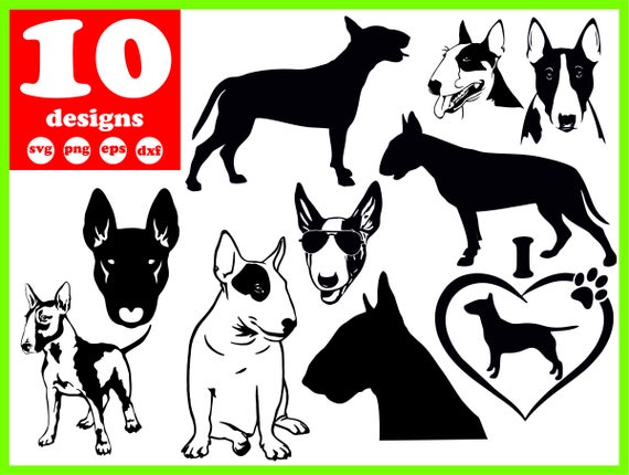 570x430 Bull Terrier Dog Digital Pitbull Download Puppy Etsy