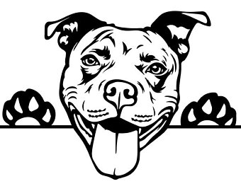 Pitbull Vector at Vectorified.com | Collection of Pitbull Vector free ...