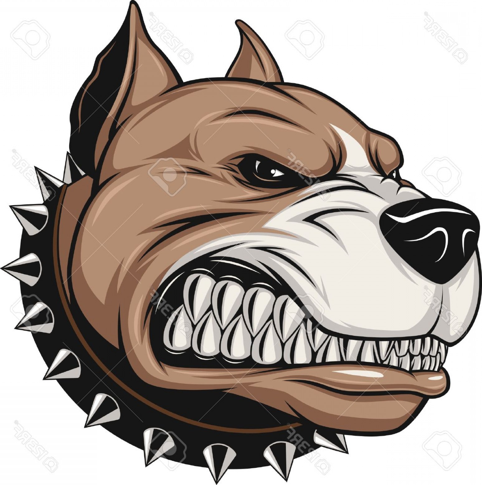 1548x1560 Photostock Vector Vector Illustration Angry Pitbull Mascot Head