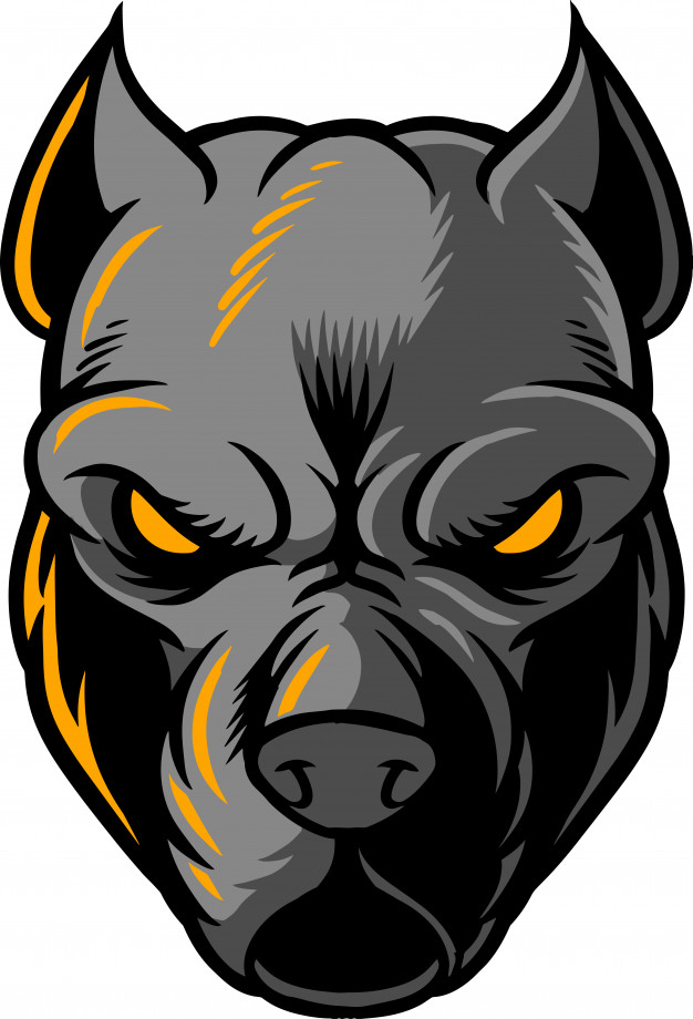 626x920 Pitbull Vector Premium Download