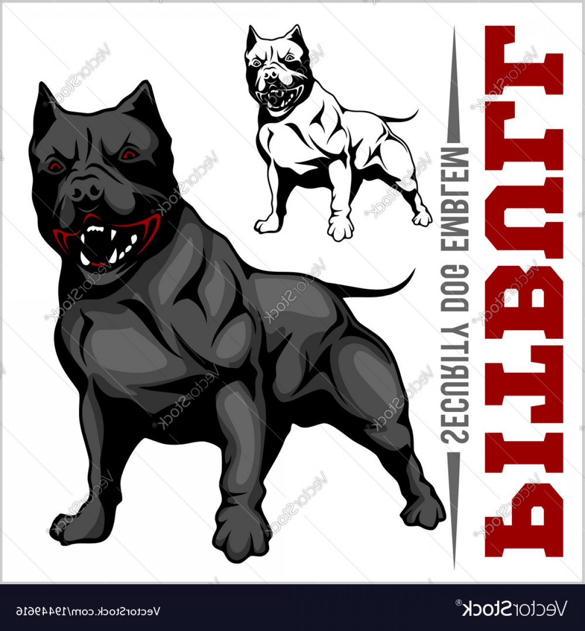 1200x1296 American Pit Bull Terrier Pitbull Vector Cqrecords