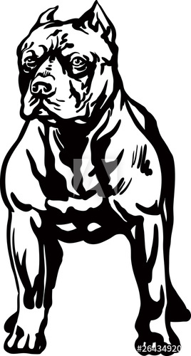 268x500 Pitbull Vector Illustration
