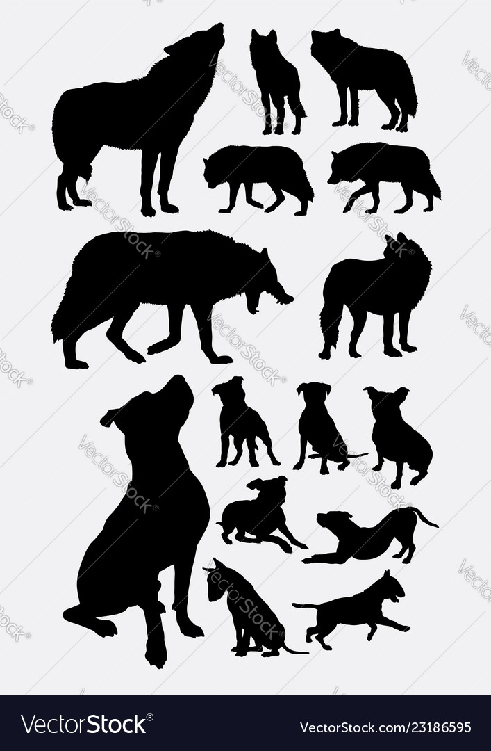 707x1080 Huge Collection Of 'pitbull Silhouette Vector' Download More Than