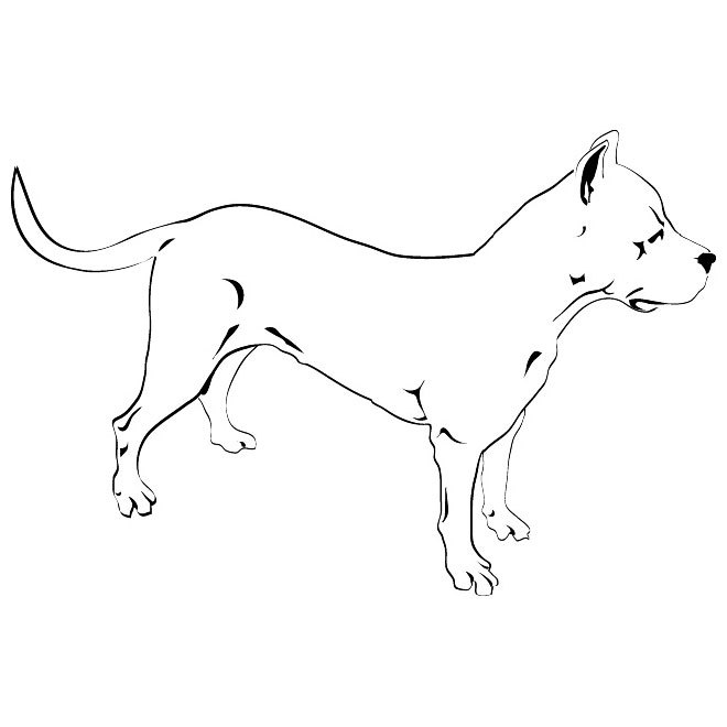 660x660 Pitbull Dog Free Vector