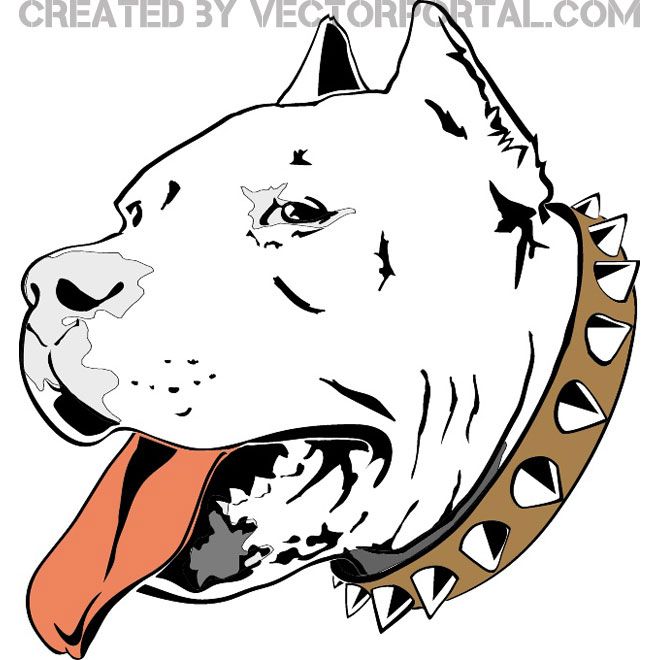 660x660 Pitbull Head Free Vector Free Vectors Pitbull Drawing