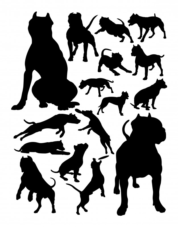 626x798 Pitbull Dog Animal Silhouettes Vector Premium Download