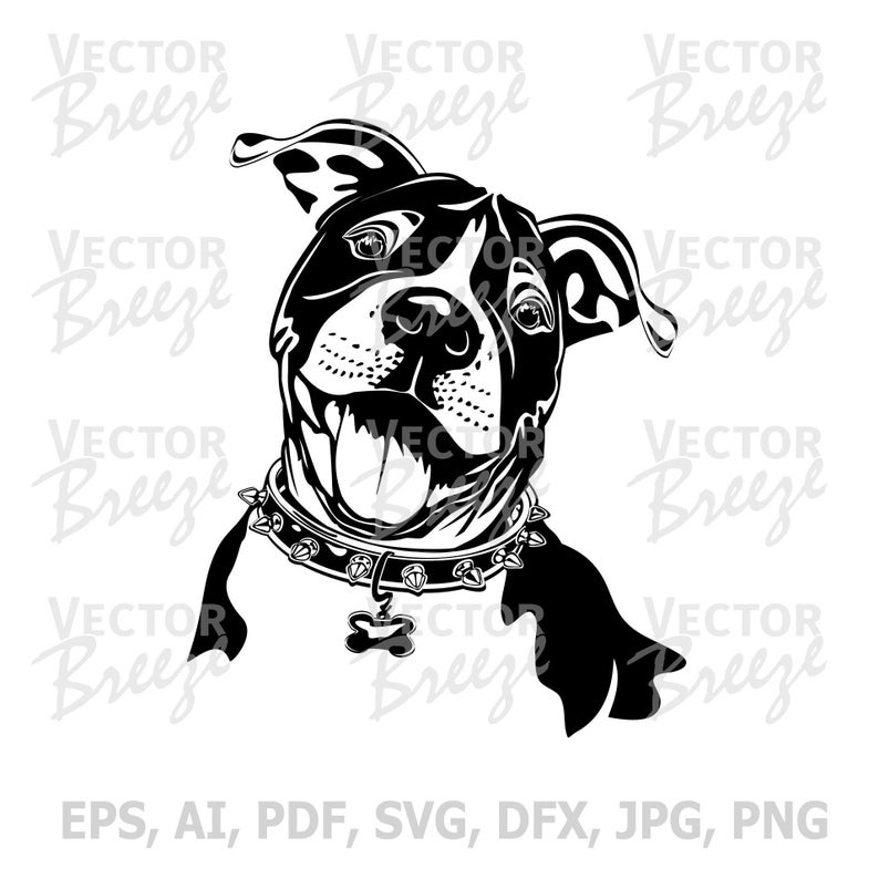 Pitbull Vector Art At Vectorified.com 