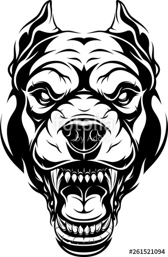 327x500 Ferocious Pitbull Dog Head Stock Image And Royalty Free Vector