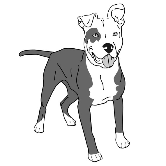 570x570 Floppy Ears Am Staffordshire Vector