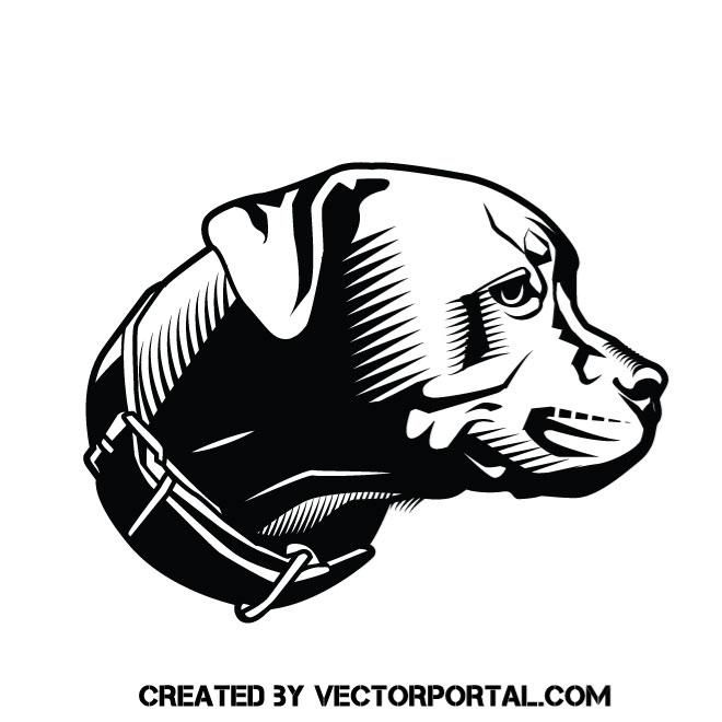 660x660 Pit Bull Terrier Vector Graphics Animal Vectors In Free