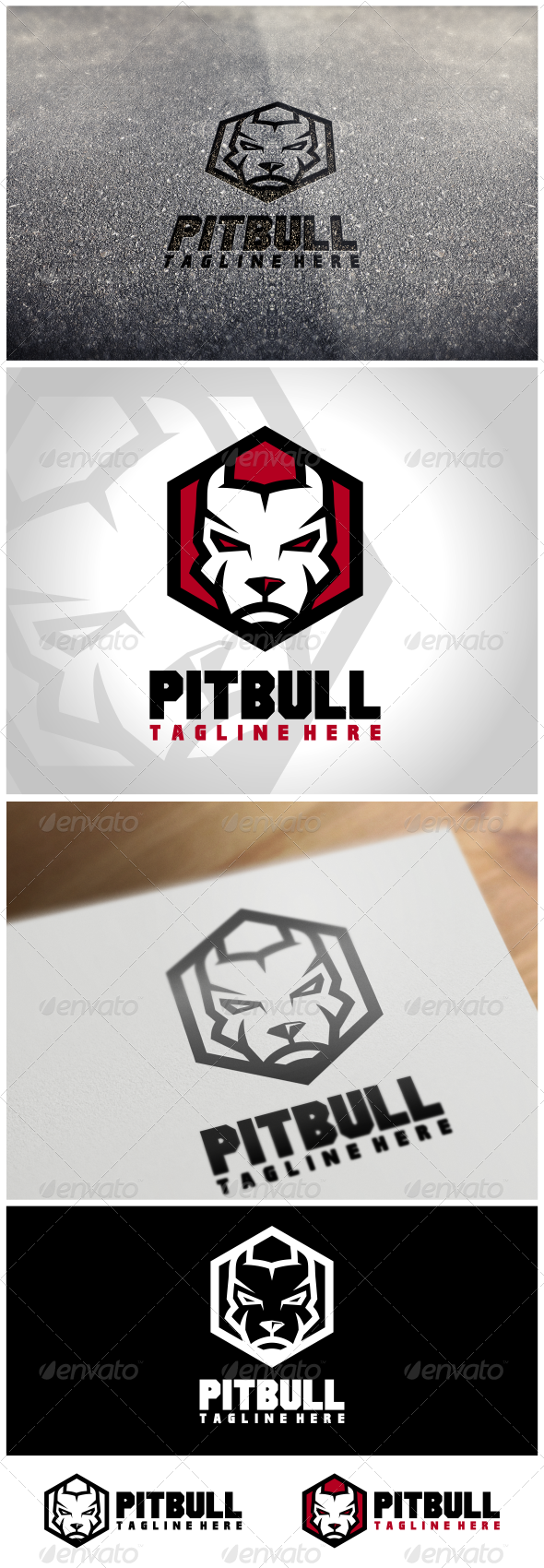 590x1700 Pitbull Graphics, Designs Templates From Graphicriver