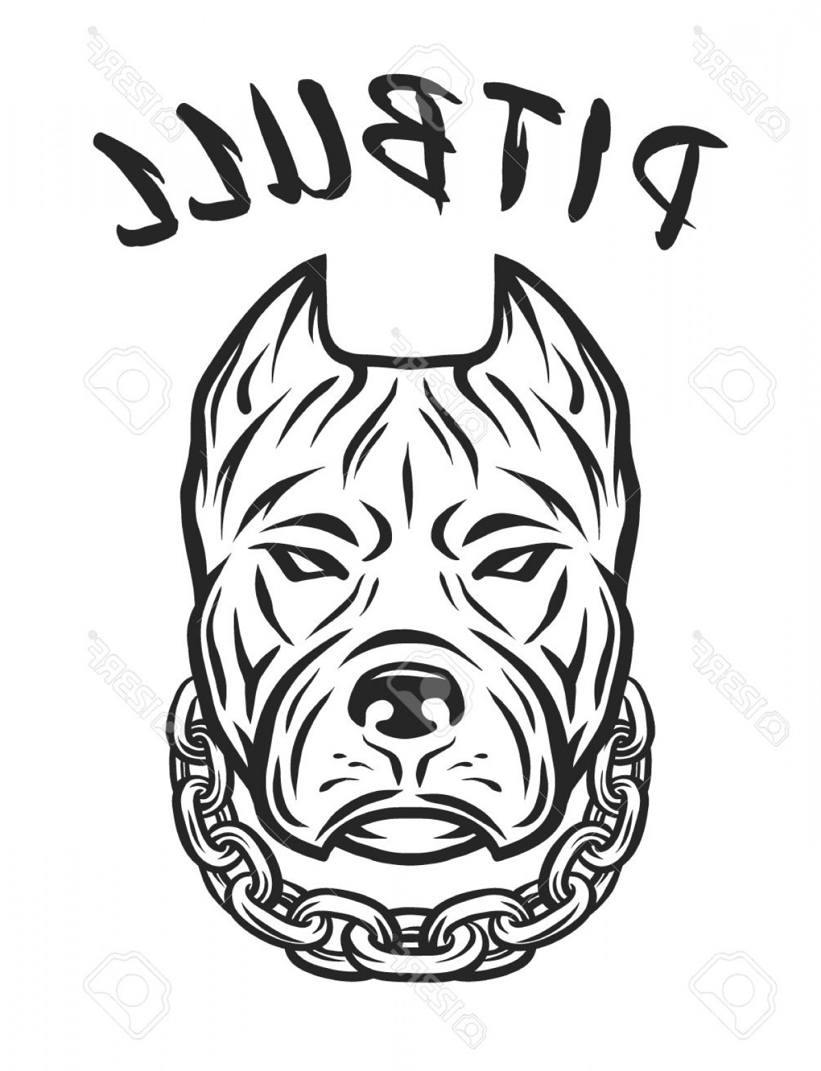 1196x1560 Pitbull Head Vector Geekchicpro