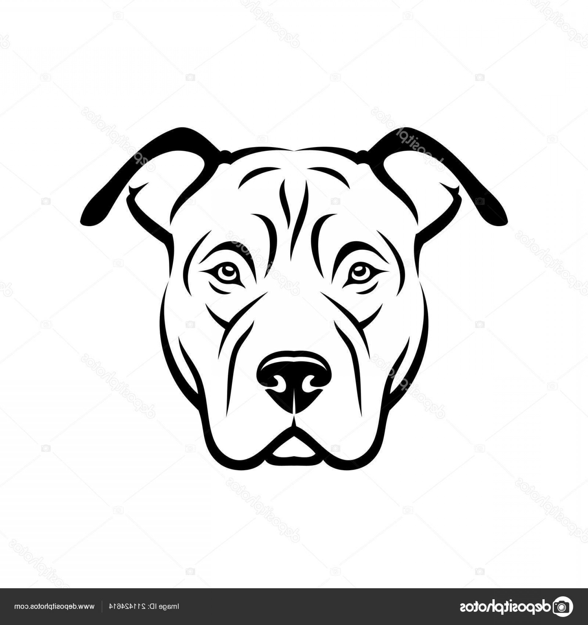 Pitbull Vector Graphics at Vectorified.com | Collection of Pitbull ...