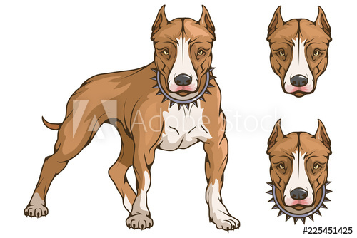 500x334 Pit Bull Terrier, American Pit Bull, Pet Logo, Dog Pitbull