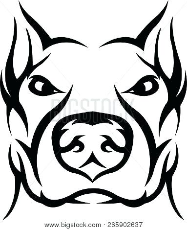 383x470 Pitbull Drawings Springspringbodywork Club