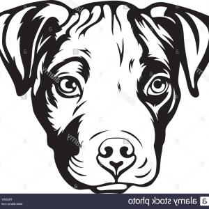 300x300 Dog American Pitbull Terrier Cartoon Vector Cultracing
