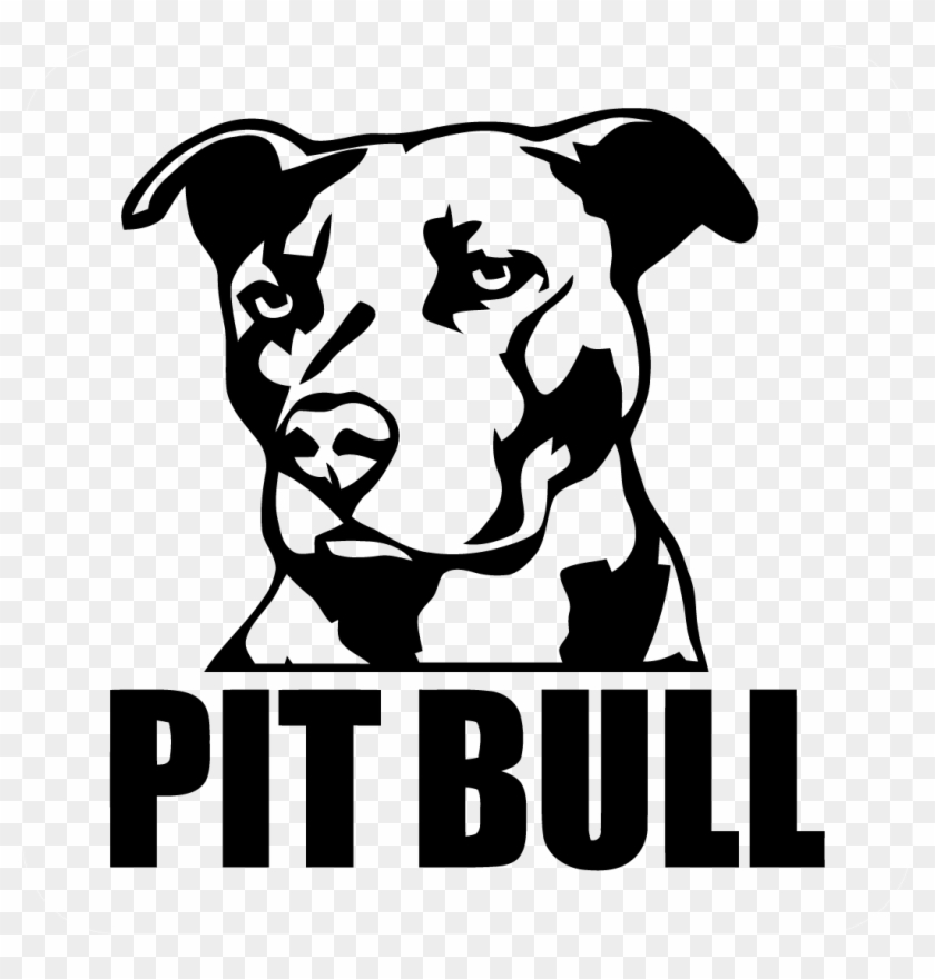 840x880 Pitbull Png Download