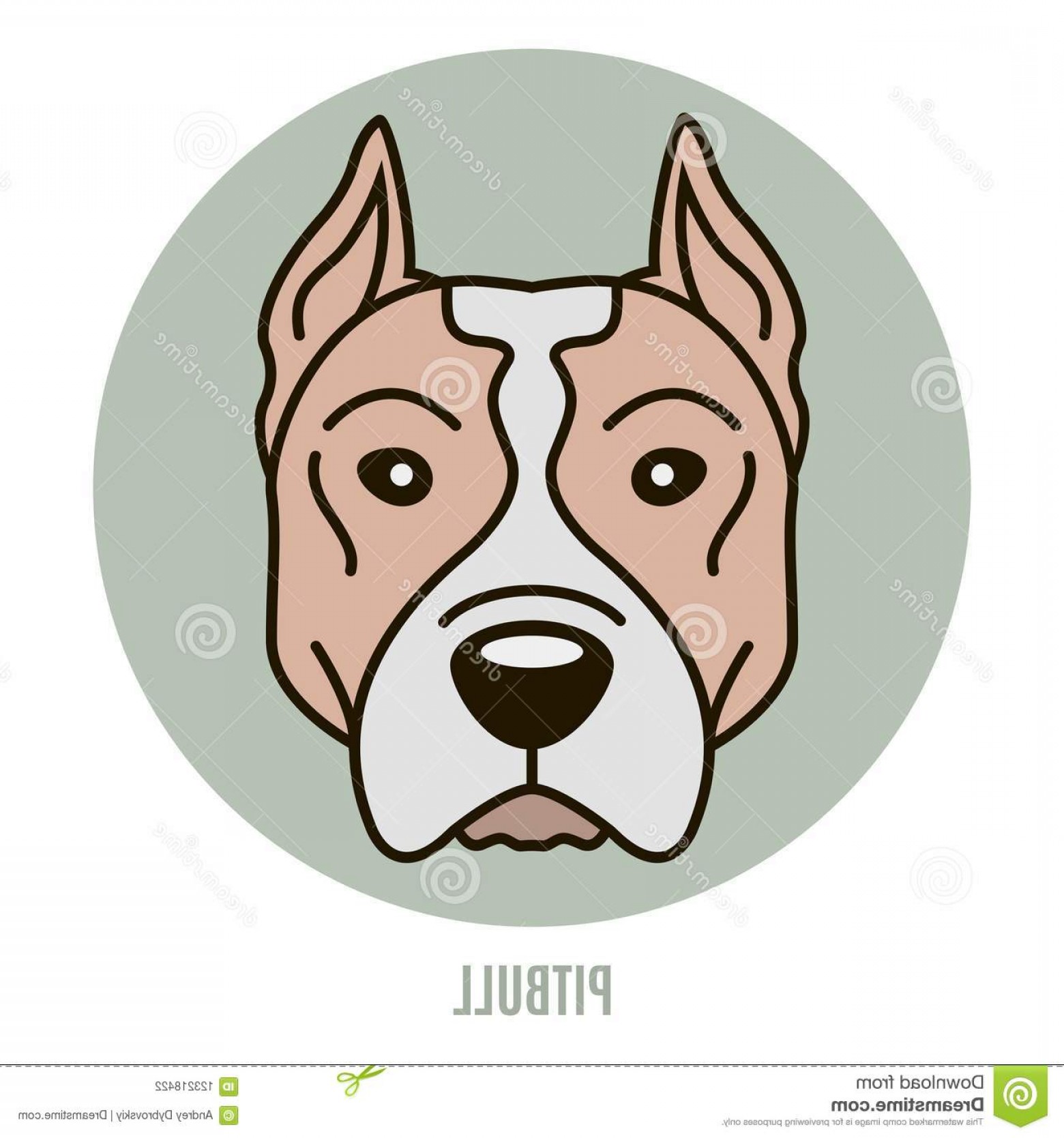 1560x1668 Portrait Pitbull Vector Illustration Style Flat Portrait Pitbull