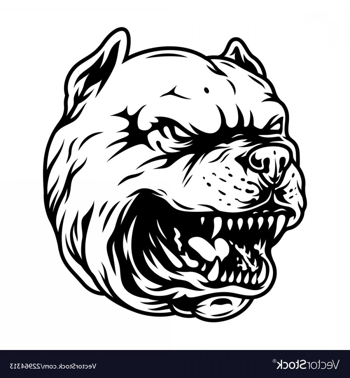 1200x1296 Vector Angry Pitbull Handandbeak