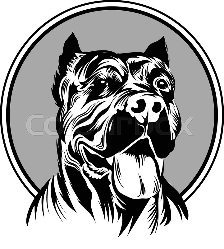 721x800 Vector Illustration Pitbull Mascot Stock Vector Colourbox