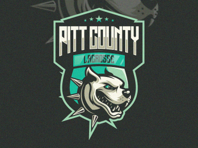 400x300 Pitt County Lacrosse