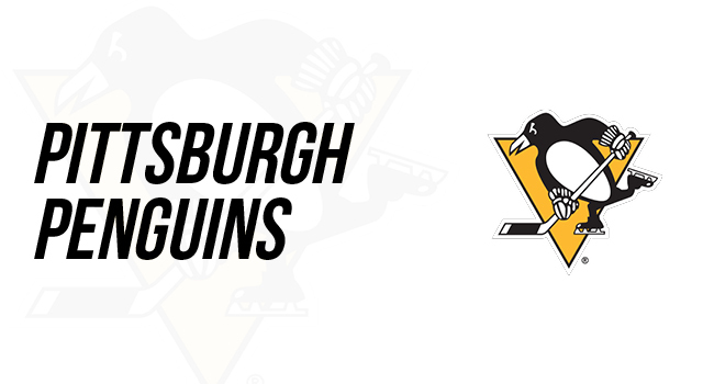 640x350 Pittsburgh Penguins Nhl Auction