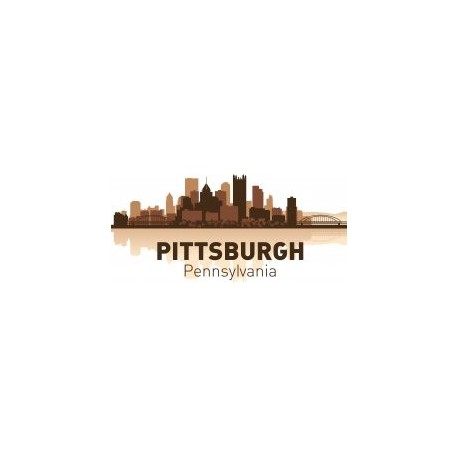 Pittsburgh Skyline Free Vector 458x458 Pittsburgh Skyline Free Vector
