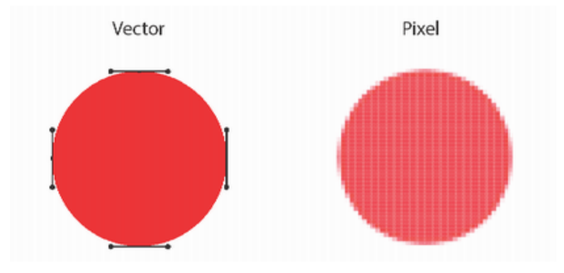The Difference Between Vector And Pixel Art 1124x544 The Difference Between Vector And Pixel Art