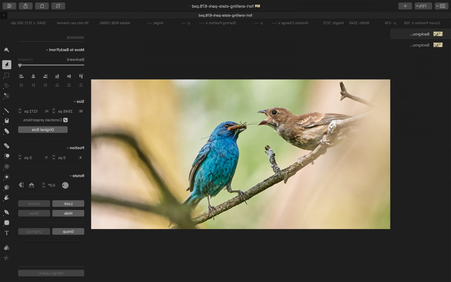 1800x1125 Fstoppers Reviews Pixelmator Pro Not Photoshop Alternative Youre