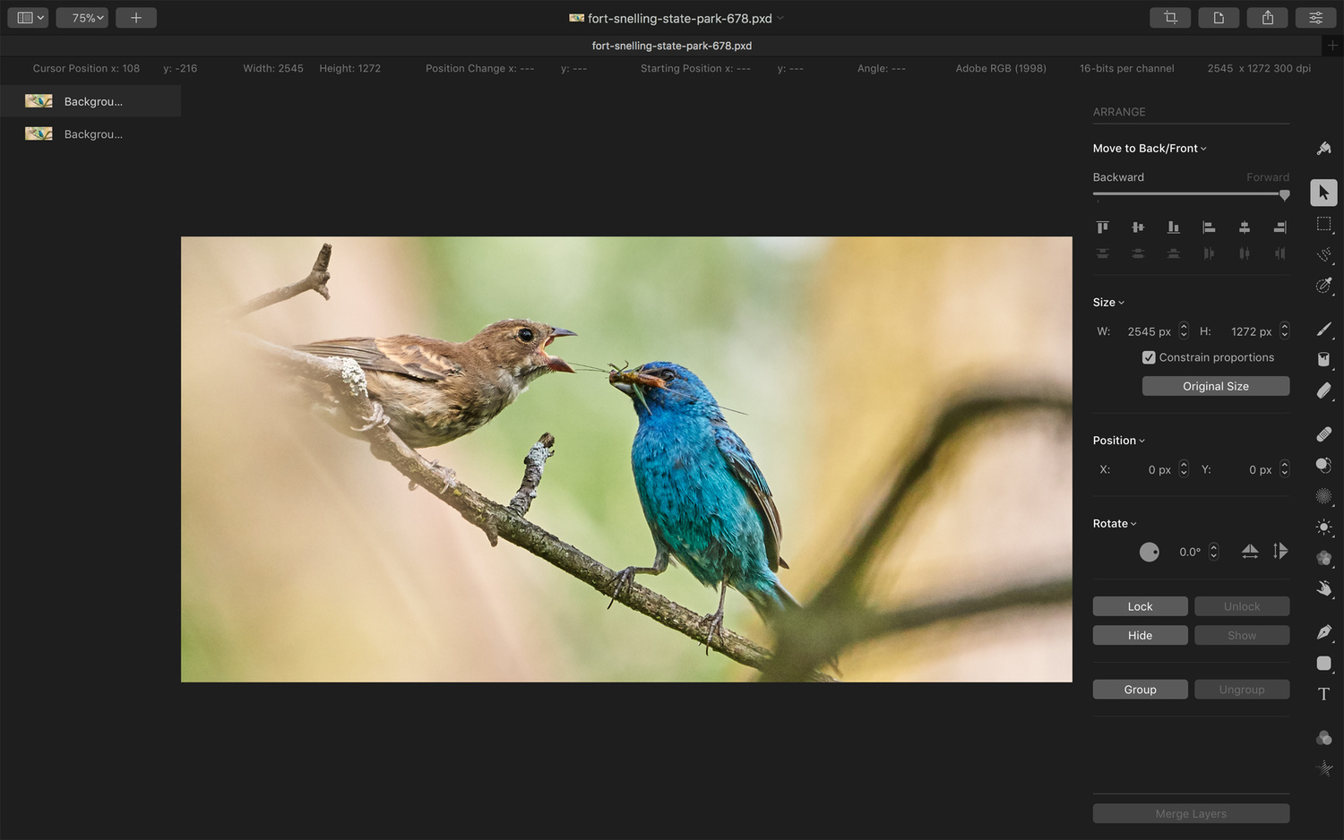 1500x938 Fstoppers Reviews Pixelmator Pro Not The Photoshop Alternative