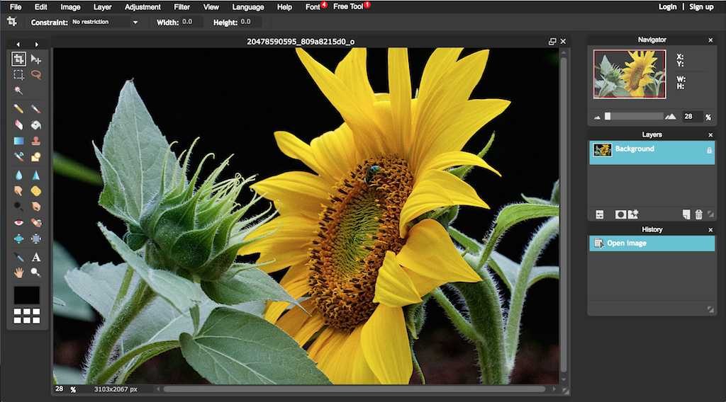 Visual Image Web Tricks Silly Useful Web Tricks 1024x568 Visual Image Web Tricks Silly Useful Web Tricks