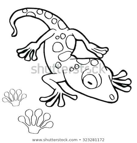 450x470 Gecko Coloring Pages
