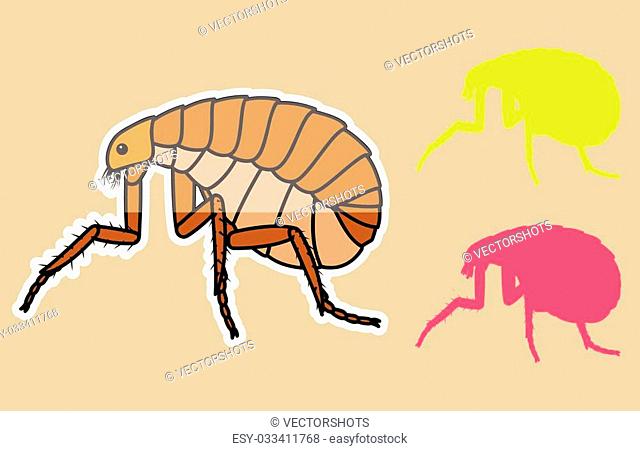 Plague Vector Flea Stock Photos And Images Age Fotostock 640x451 Plague Vector Flea Stock Photos And Images Age Fotostock