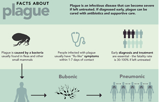 Plague 310x200 Plague