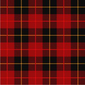 300x300 Tartan Plaid Pattern Seamless Vector Soidergi