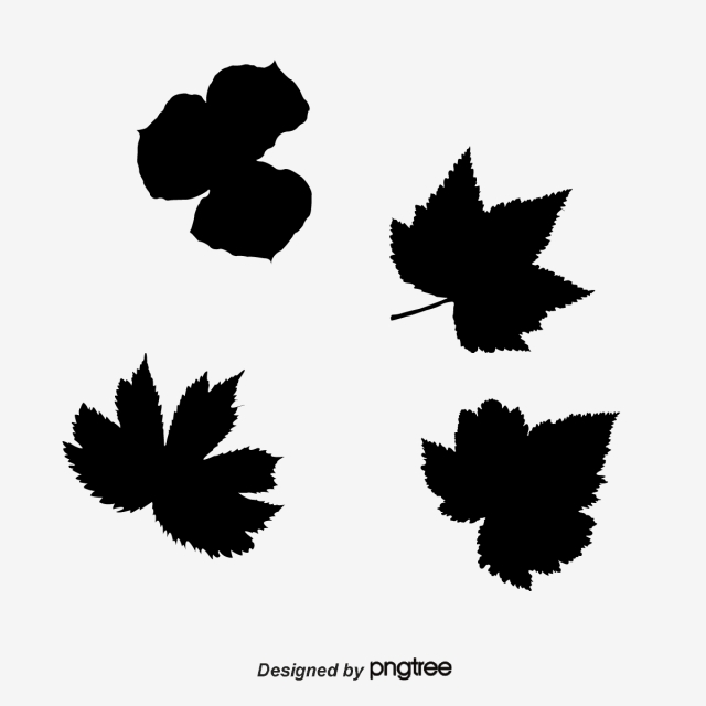 640x640 Plane Silhouette Plane Vector Map Of Leaves, Silhouette, Paper Cut