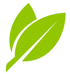 226x240 Plant Icon Vector
