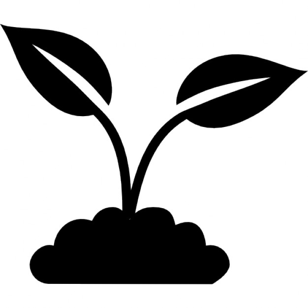 626x626 Plant Icon Vector