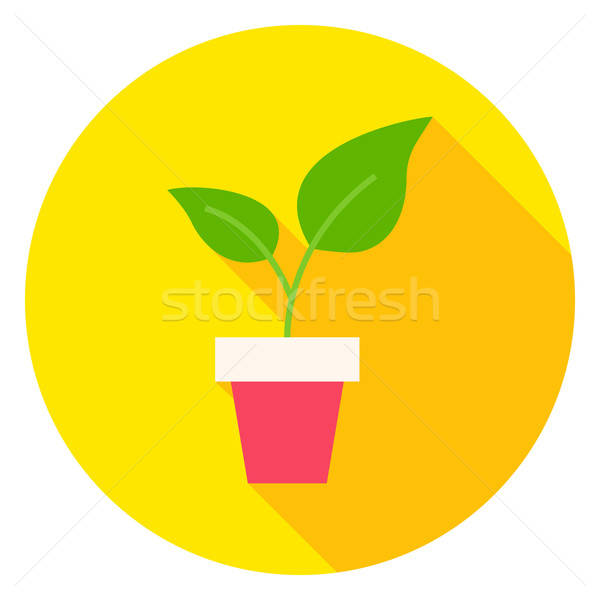 600x600 Plant In Flower Pot Circle Icon Vector Illustration Ganna Sereda