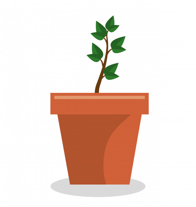626x664 Plant Pot Garden Isolated Icon Vector Illustration Design Vector