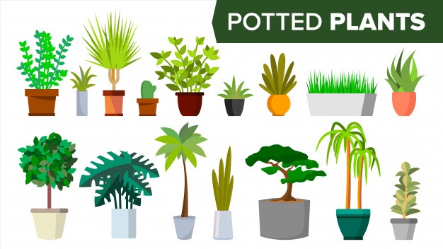 626x352 Plants Vectors, Photos And Free Download