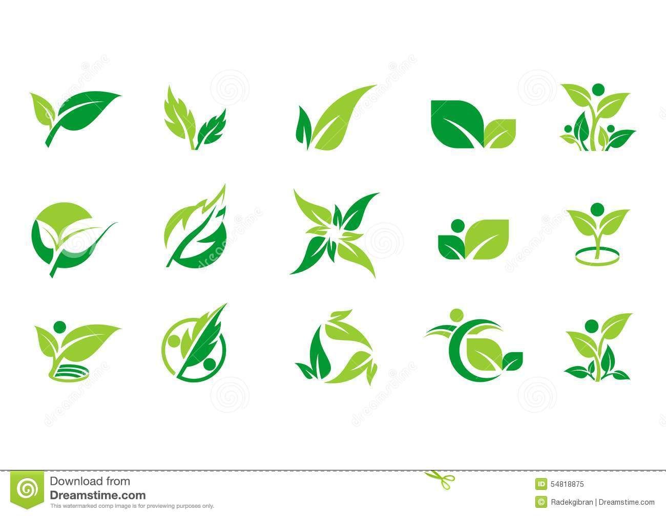 1300x1008 Leaf,plant,logo,ecology,people,wellness,green,leaves,nature Symbol