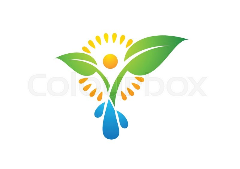 800x564 Plant,people,water,spring,natural,logo,sun,leaf,botany,ecology