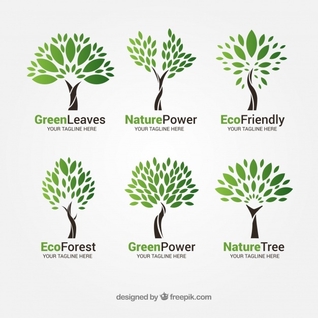 626x626 Plant Logo Vectors, Photos And Free Download